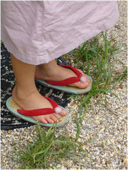 �u�ۂ�ۂ�`��v�����s�@�f���n���R�h�̒��Ԃ����@�l