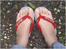 �u������Ƃ������Ƀy�C���g�v�_�ސ쌧�@���т������Ⴀ�@�l