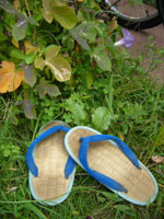 もうすぐ夏もおわり