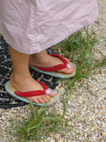 マイミサトっ子