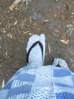 山道も歩きました