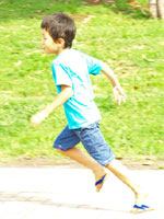 光る風になって